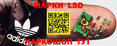 стафф Краснодар