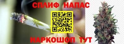 стафф Краснодар
