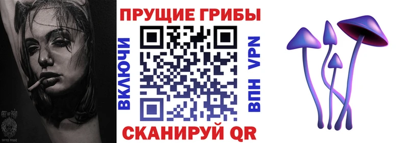 МЕГА как войти  Ефремов  Псилоцибиновые грибы мицелий 