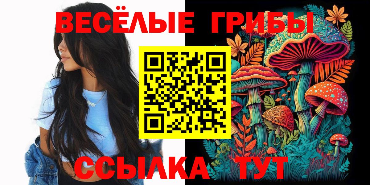 Псилоцибиновые грибы мухоморы  Псилоцибиновые грибы GOLDEN TEACHER  Ефремов  Вход с VPN 