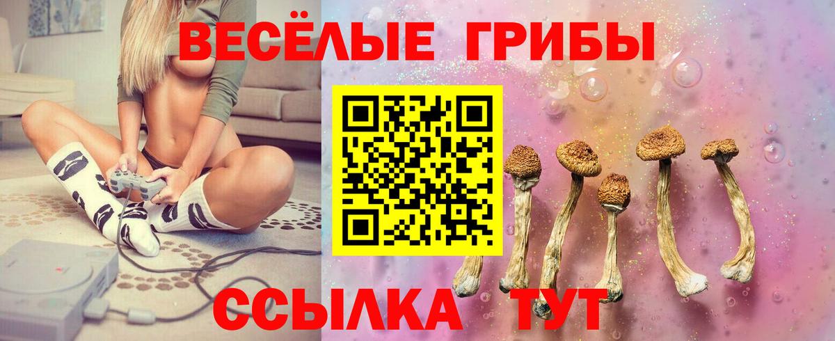 Галлюциногенные грибы GOLDEN TEACHER Ефремов